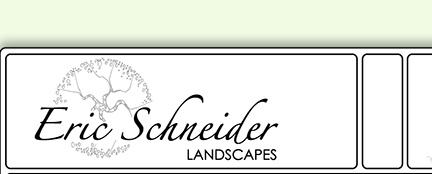 Eric Schneider Landscapes